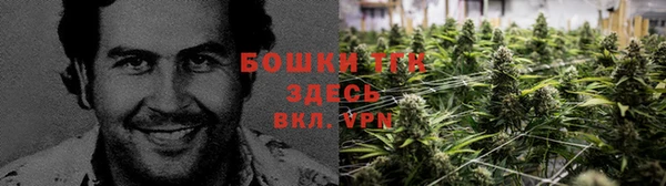 гашик Абаза